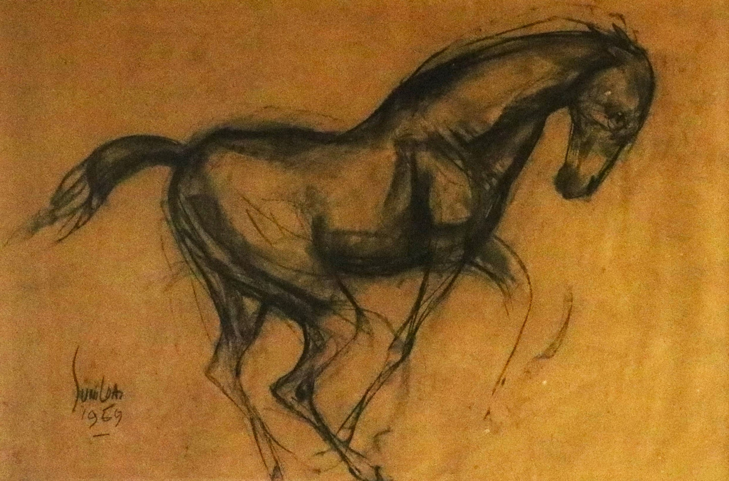 Sunil Das : Horse Series 1967