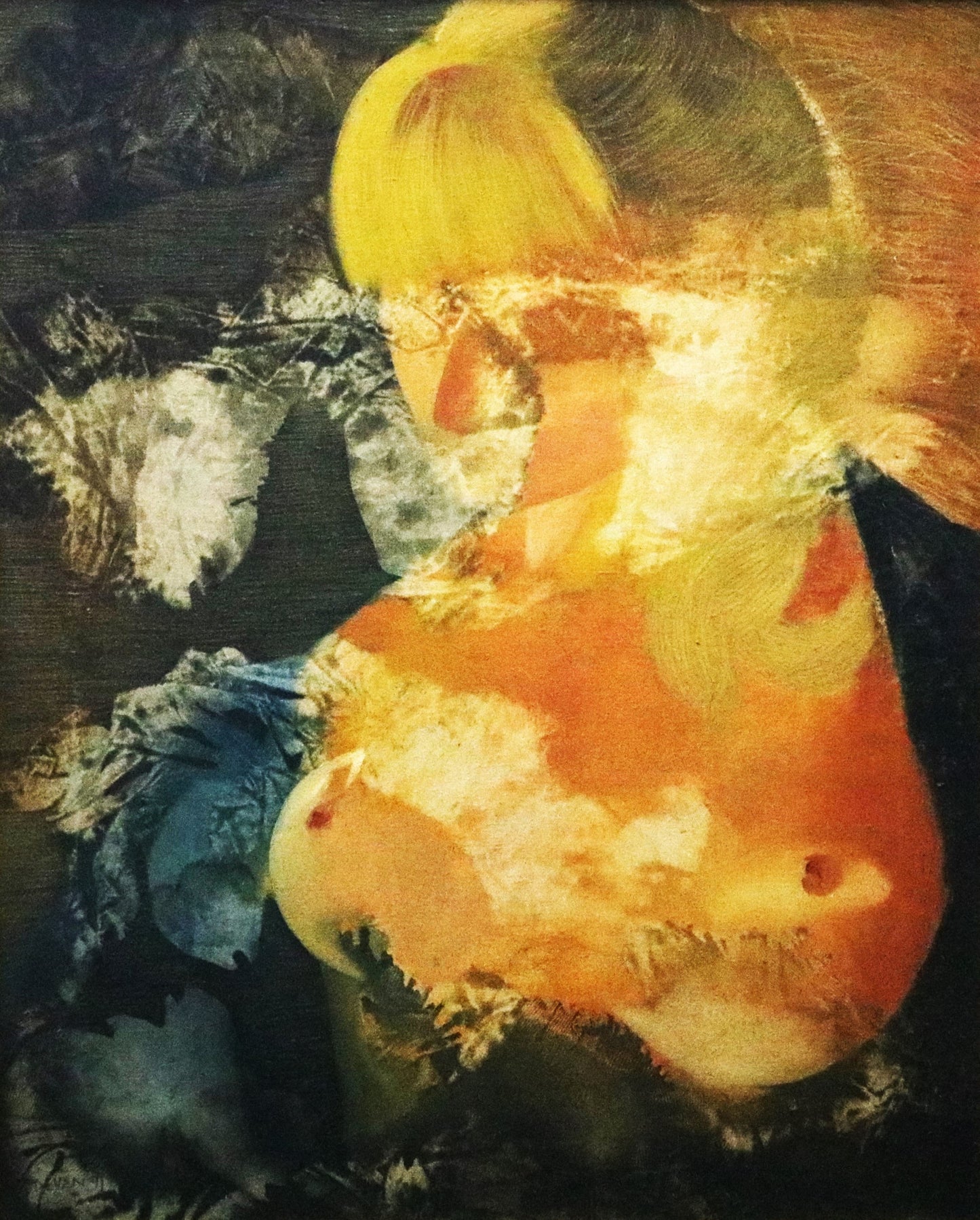Seth Devan Mermaids