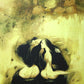 Women 2 PN Choyal