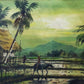 A.B. Ibrahim : Paddy Field